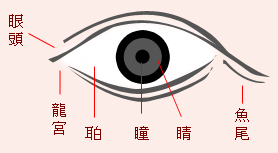 ΈD