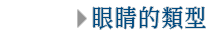 ۾